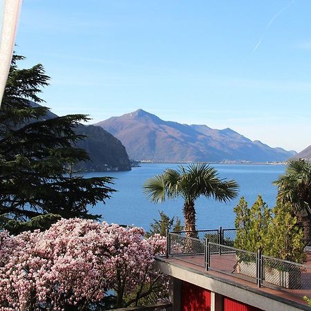 Barony Olive 2 Personen Mit Hund Apartment Lugano Exterior photo